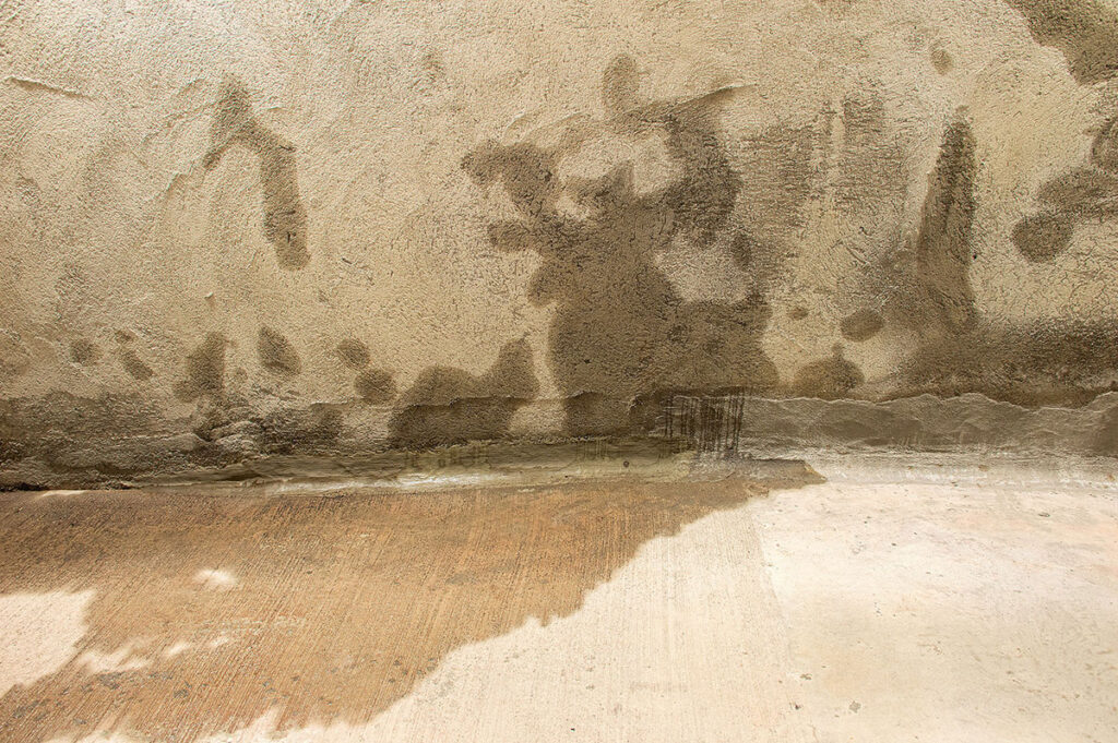 Professional assessing water ingress issues around a building, focusing on leak detection and prevention.